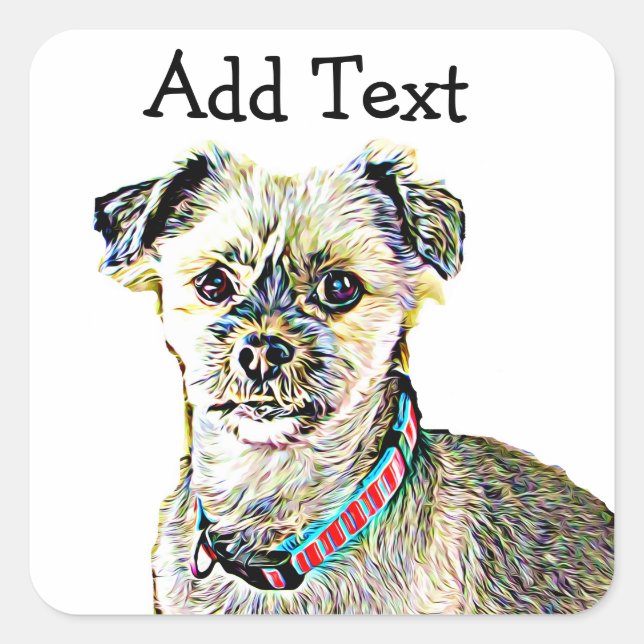 Adesivo Quadrado Engraçado Lhaso Apso ou Shitzu Dog Sticker Persona (Frente)