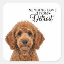 Enviando Amor de Detroit