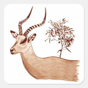 Adesivo Quadrado Esboço animal do desenho dos animais selvagens do