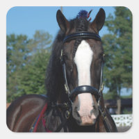 esboço de cavalo do culpeão