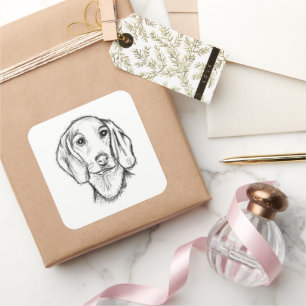 Adesivo Quadrado esboço desenhado à mão de cachorro dachshund preto
