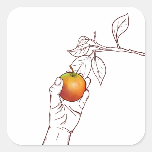 Adesivo Quadrado Escolhendo uma maçã (Frente)