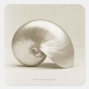 Adesivo Quadrado Escudo Pearlised do mar do nautilus