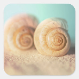 Adesivo Quadrado Escudos do nautilus na praia