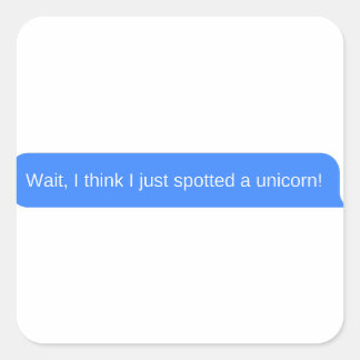 Adesivo Quadrado Espera, acho que acabei de ver um unicórnio!