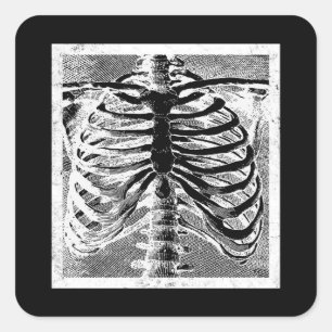 Adesivo Quadrado Esqueleto Antigo Torso Corpo Halloween