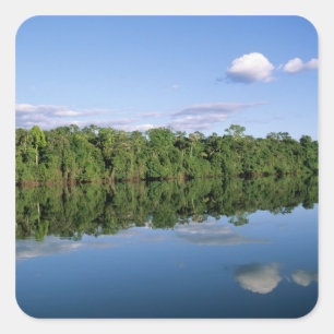 Adesivo Quadrado Estado do Mato Grosso, Amazônia, Brasil. Florestad