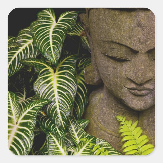 Adesivo Quadrado Estátua em um Jardim Informações de Localização: M (Frente)