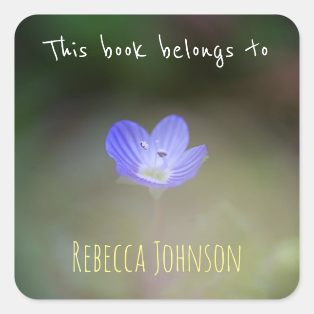 Adesivo Quadrado Este livro pertence a (Frente)