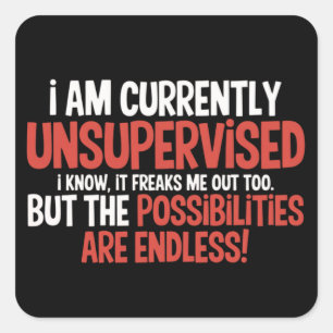 Adesivo Quadrado Estou Atualmente Sem Supervisão Sarcástico Humorís