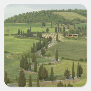 Adesivo Quadrado Estrada: Pienza — Montepulciano,