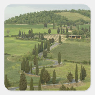 Adesivo Quadrado Estrada: Pienza — Montepulciano,