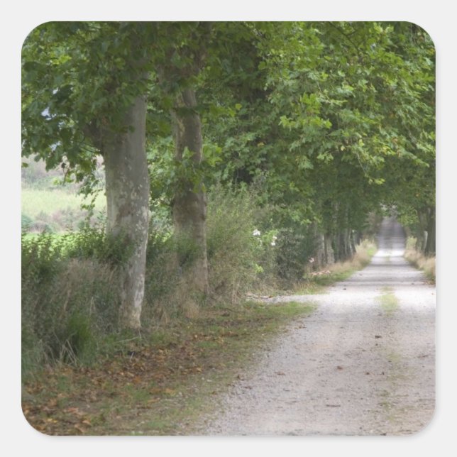 Adesivo Quadrado Estrada rural de terra perto da cidade de (Frente)