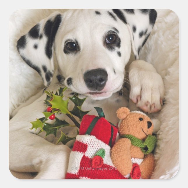 Adesivo Quadrado estúdio (Frente)