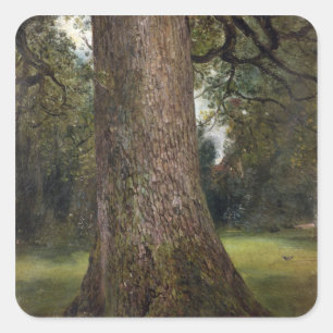 Adesivo Quadrado Estudo do tronco de uma árvore de olmo, c.1821