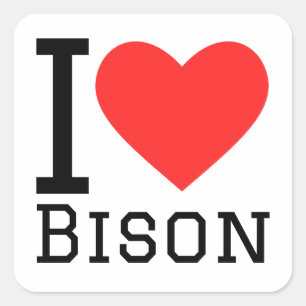 Adesivo Quadrado Eu adoro bison