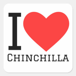 Adesivo Quadrado Eu adoro chinchila