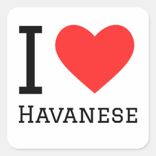 Adesivo Quadrado Eu adoro o havanês