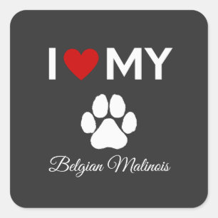 Adesivo Quadrado Eu adoro o meu texto personalizado de cão Malinois