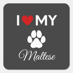 Adesivo Quadrado Eu adoro o meu texto personalizado para o cão malt