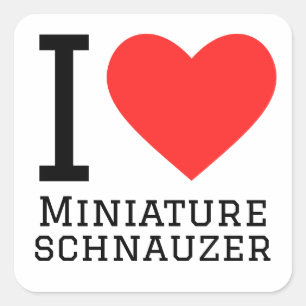 Adesivo Quadrado Eu adoro schnauzer miniatura