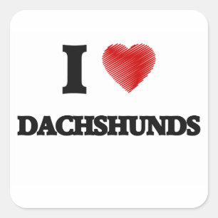 Adesivo Quadrado Eu amo Dachshunds