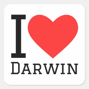 Adesivo Quadrado Eu amo Darwin