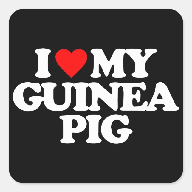 ADESIVO QUADRADO EU AMO MEU PIG GUINÉ (Frente)