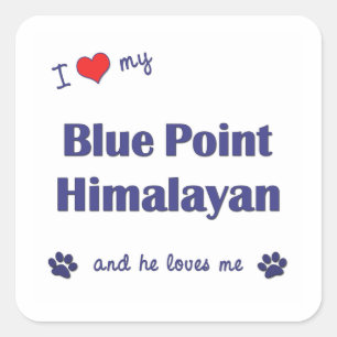 Adesivo Quadrado Eu amo meu ponto azul Himalaia (o gato masculino)