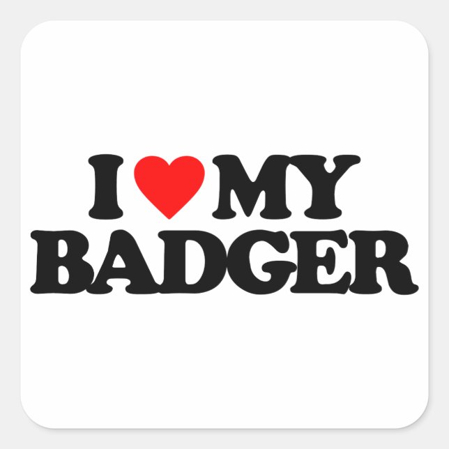 ADESIVO QUADRADO EU AMO O MEU BADGER (Frente)