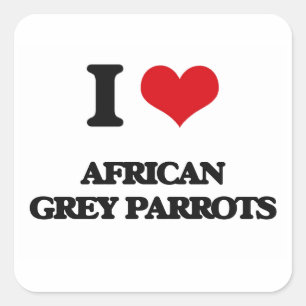 Adesivo Quadrado Eu amo papagaios do cinza africano