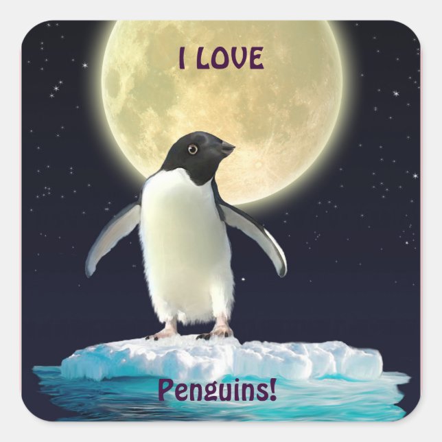 ADESIVO QUADRADO EU AMO PINGUINS PINGUINS PINGUENS BONITOS (Frente)