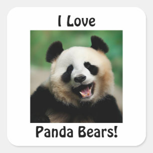Adesivo Quadrado Eu Amo Ursos de Panda