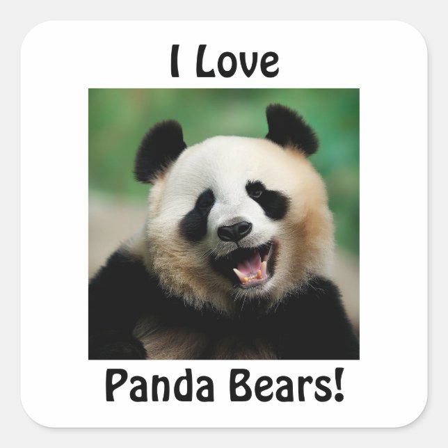 Adesivo Quadrado Eu Amo Ursos de Panda (Frente)