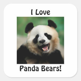 Adesivo Quadrado Eu Amo Ursos Panda