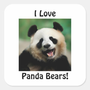 Adesivo Quadrado Eu Amo Ursos Panda