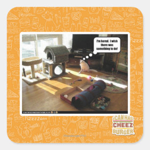 Adesivo Quadrado Eu desejo que havia algo fazer