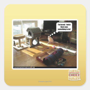 Adesivo Quadrado Eu desejo que havia algo fazer