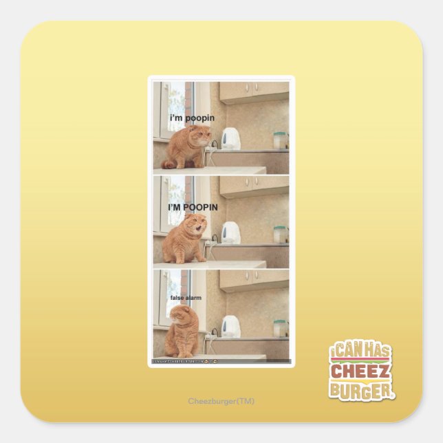 Adesivo Quadrado Eu estou fazendo cocô! (Frente)