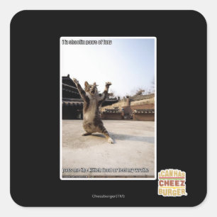 Adesivo Quadrado Eu faço palhaços de fúria