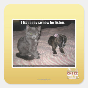 Adesivo Quadrado Eu fixo o filhote de cachorro