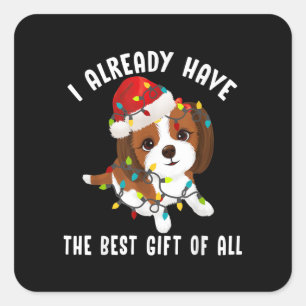 Adesivo Quadrado Eu Já Tenho O Melhor Presente De Todo Amor Cute Tz