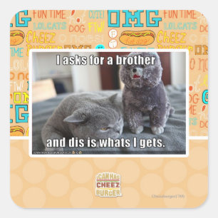 Adesivo Quadrado Eu peço um irmão