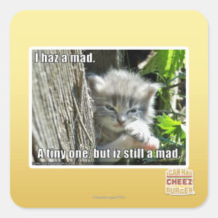 Adesivo Quadrado Eu tenho um louco
