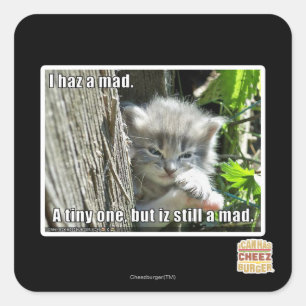 Adesivo Quadrado Eu tenho um louco
