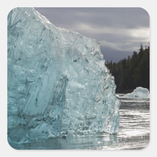 Adesivo Quadrado EUA, Alasca, Floresta Nacional de Tongass, Tracy 2 (Frente)