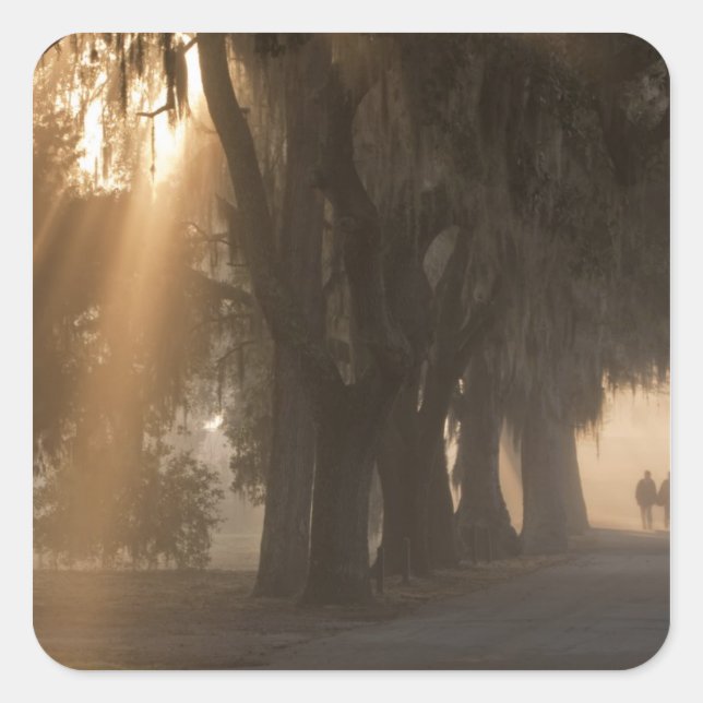 Adesivo Quadrado EUA; América do Norte; Geórgia; Savana. Masculino (Frente)