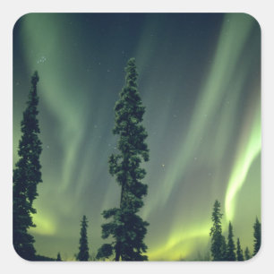 Adesivo Quadrado EUA, área de Fairbanks, centro do Alasca, Aurora