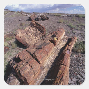Adesivo Quadrado EUA, arizona, parque nacional de floresta