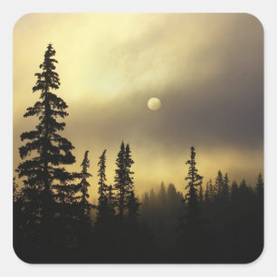 Adesivo Quadrado EUA, Colorado, Floresta Nacional de San Isabel.